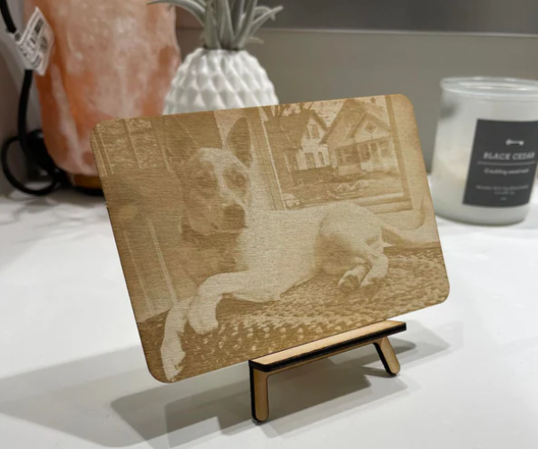 Feisty Fox Creations: Crafting Custom Pet Products to Celebrate Your Furry Friends