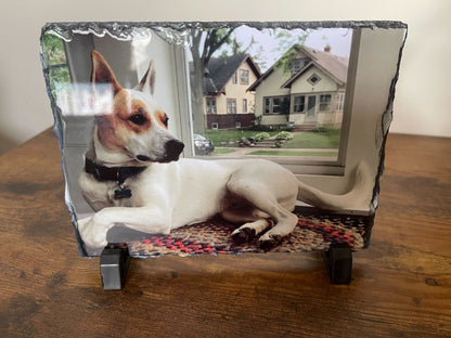 sublimated photo frame featuring a dog facing the right near a window